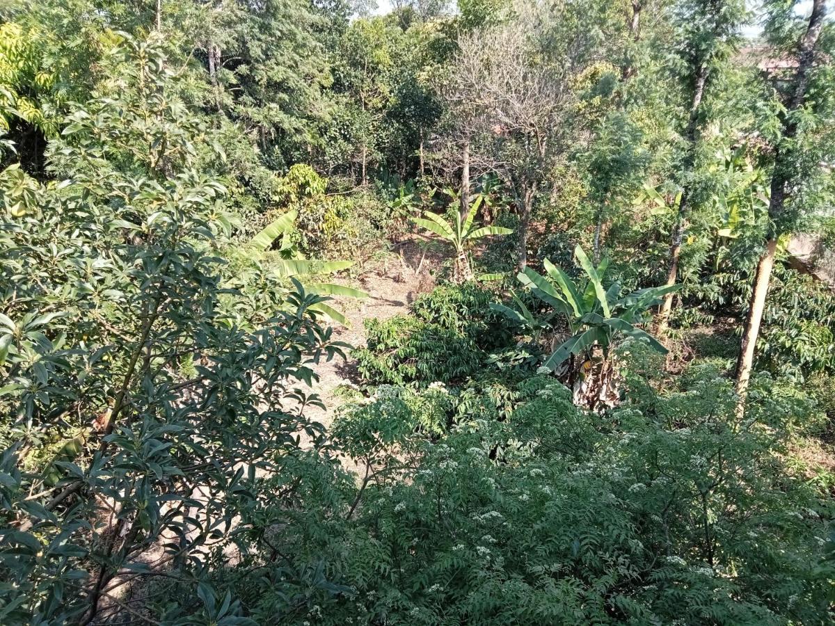 Krupa Homestay มาดิเครี ภายนอก รูปภาพ